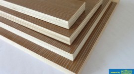 Timsales Ltd - The Best Quality Plywood Providers