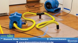 Diamond Shine Cleaners - Well Trained And Knowledgeable Water Restoration Experts...