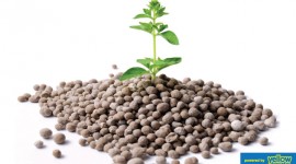 Bio-Medica Laboratories Ltd - Fertilizers that your crops needs… 