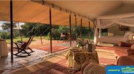 Carlson Wagonlit Travel - Get To Interract With Mother Nature At Cottar’s 1920s Safari Camp.