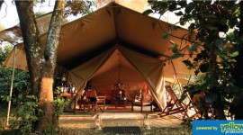 Carlson Wagonlit Travel - Get Maximum Pleasure Derived From The Natural Surroundings Of The Maasai Mara Reserve.