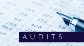 Grant Thornton - Comprehensive Audit Service Providers