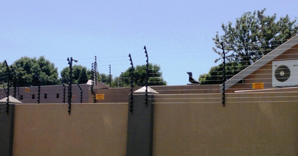Informed Systems Ltd - Suppliers and Installers of Electric Fence in Nairobi, Kenya