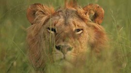 Marsha Afrika Expeditions  - The Best African Safari Tour Operators in Kenya