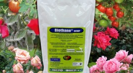 Bio-Medica Laboratories Ltd - Biothane 80WP Fungicides