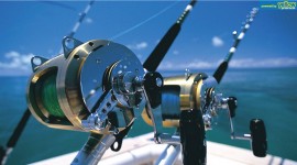 Kavirondo Fishnets,Sundry & Hardware Ltd - Reel In The Ultimate Fishing Experience