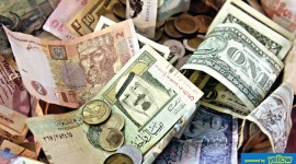 Alpha Forex Bureau Ltd Yellow Pages Kenya Ltd | Travellers forex bureau westlands Alpha Forex Bureau Ltd Yellow Pages Kenya Ltd -