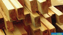 Timsales Ltd - Loyal Timber Experts For Domestic And Commercial Projects.