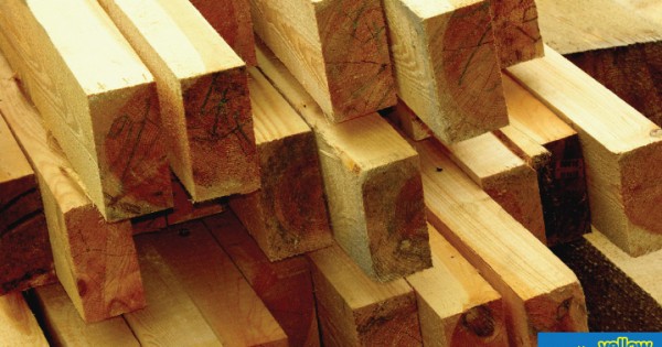 Timsales Ltd - Loyal Timber Experts For Domestic And Commercial Projects.