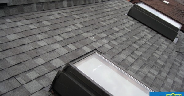 Rexe Roofing Products Ltd - Did You Know You Can Install Eco Friendly Roofing ?