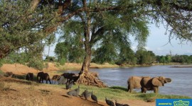 Acharya Travel Agencies Ltd - Enjoy The National Reserve's Scenic Grassland and Game-Viewing Wildlife Tours.