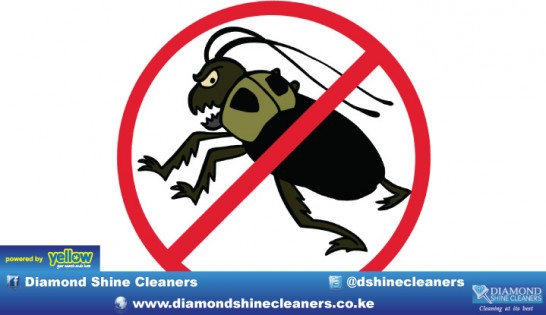 Diamond Shine Cleaners - Fumigation and Pest Control for a Pest-Free Life