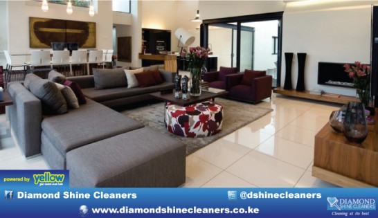 Diamond Shine Cleaners - Where Do You Get Professional,Affordable Housekeeping Aid?