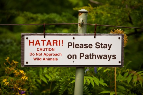 Security Systems International Ltd - Providers of  “Hatari” Warning Sign