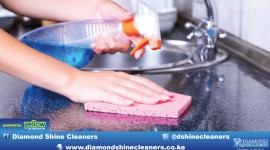Diamond Shine Cleaners - Expatriate Housekeeping Service