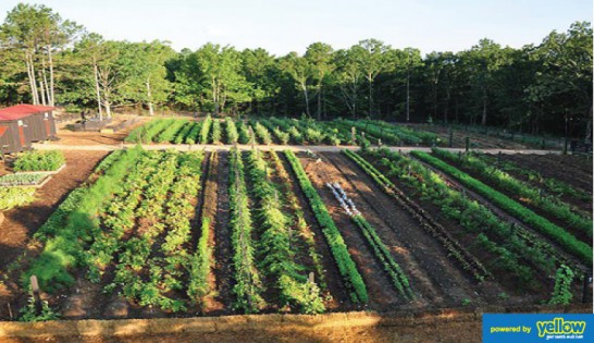 Geoestate Development Services - Leasing of Land For Your Agricultural Needs Made Easier & Safe…