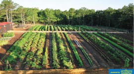 Geoestate Development Services - Leasing of Land For Your Agricultural Needs Made Easier & Safe…
