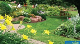 Diamond Shine Cleaners - Have That Aesthetically Pleasing, Beautiful Look For Your Garden 