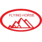 Flying Horse Ltd