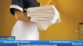 Diamond Shine Cleaners - Understanding housekeeping challenges...