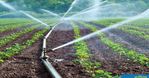 Trans Auto & Machinery (K) Ltd - Quality Made Water Sprinklers That Will Help You Nature Healthy Crops… 