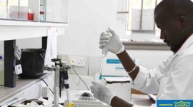 Nyumbani Diagnostic Laboratory - Comprehensive laboratory services
