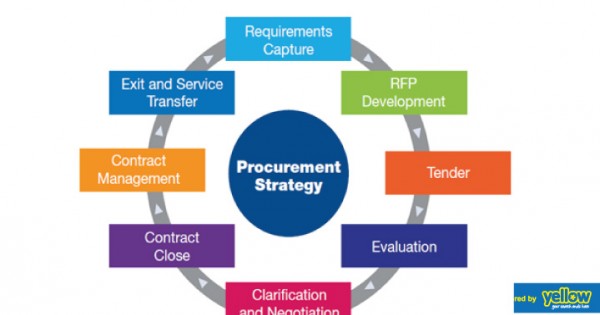 procurement strategy for aboriginal business report