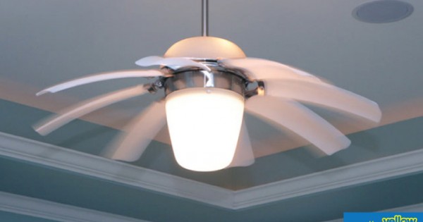 Power Innovations Ltd - Get Your Ceiling Light Fan Repaired with The Best…