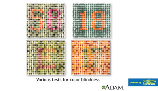 Sharp Vision  - Color Blindness Test services at Sharp Vision 