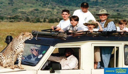 Titan Tours & Travel Limited - Have That Family Safari The Kenyan way...