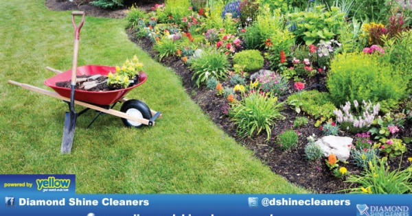 Diamond Shine Cleaners - Helping In The Growth And Direction Of Your Flowers Shrubs Trees And Grass.