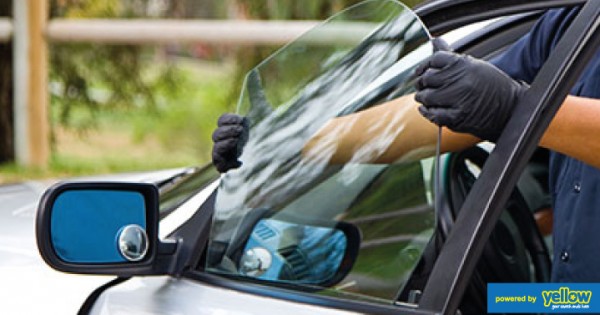 Trans Auto & Machinery (K) Ltd - Auto door glass replacement for your vehicle window glass
