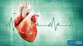 Nyumbani Diagnostic Laboratory - Cardiac markers to help diagnose acute coronary syndrome (ACS)