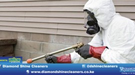 Diamond Shine Cleaners - Pest Control And Support Services Related To Fumigation.