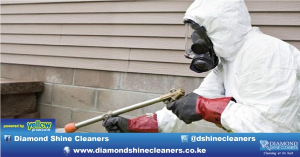 Diamond Shine Cleaners - Pest Control And Support Services Related To Fumigation.