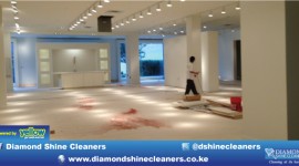 Diamond Shine Cleaners - For Successful Inspection And Presentation...