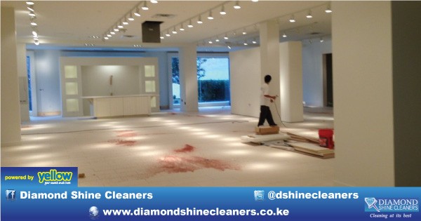 Diamond Shine Cleaners - For Successful Inspection And Presentation...