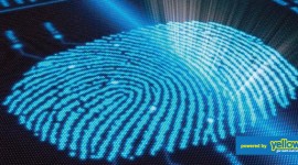 Smart Applications International Ltd - Use biometric services to protect your computer system sensitive data