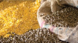 Pembe Flour Mills Ltd - Quality Animal Feed For Improved Animal Production