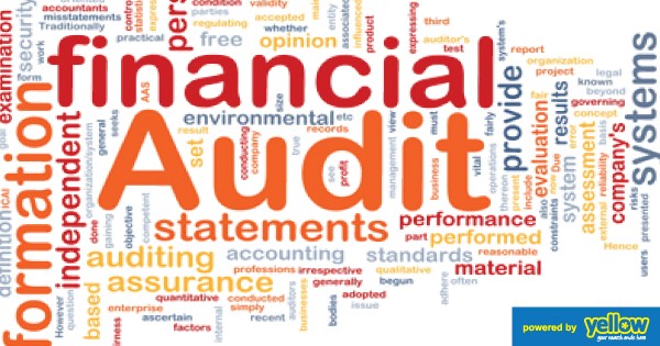 DeLyde Associates - Statutory auditors who will give you accurate financial audits