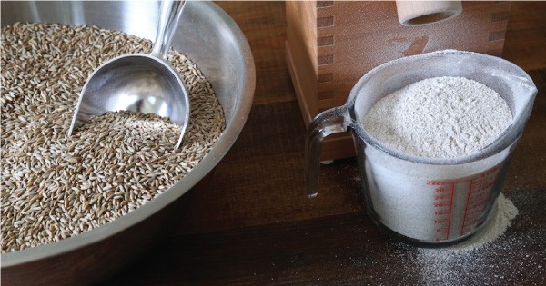 Pembe Flour Mills Ltd - Modern Flour Milling Process...