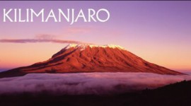 Acharya Travel Agencies Ltd - Mount Kilimanjaro Tour Package…