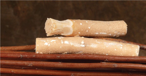 All Smiles Dental Practice - Forget About Your Toothbrush! Try Miswak