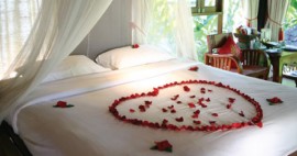 Ngong Hills Hotel  - Ngong Hills Hotel, Honeymoon Offer
