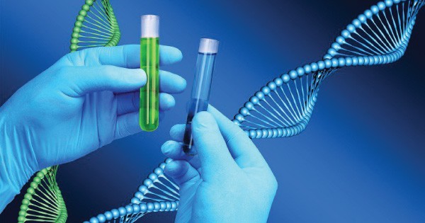 Image result for image of DNA testing