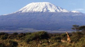 Acharya Travel Agencies Ltd - Climbing Mount Kilimanjaro Tour Package 