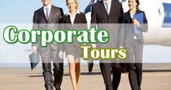 Acharya Travel Agencies Ltd - The Best Corporate Tour Package In Kenya