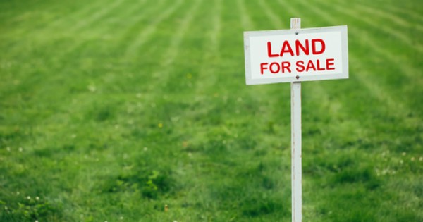 Vineyard Properties Limited - Looking for a land or home in Nairobi, Kenya?