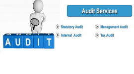 Makeni Mutua and Associates  - Statutory Audit Services in Kenya