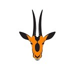 Baisy Oryx Tours Travel & Safaris Ltd